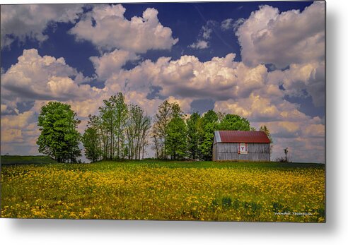 Kentucky Landscape Metal Print featuring the photograph Kentucky Quilt Barn by Wendell Thompson