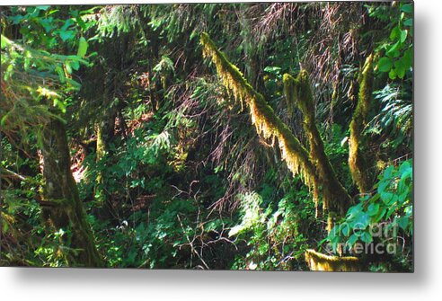 Ketchikan Metal Print featuring the photograph Ketchikan Green by Laurianna Taylor