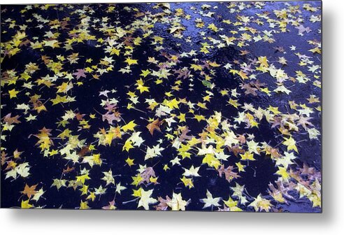 Yellow Metal Print featuring the photograph Leaves on Pavement by William Slider