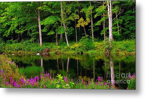 Landscape Metal Print featuring the photograph Like A Fairy Tale by Dani McEvoy