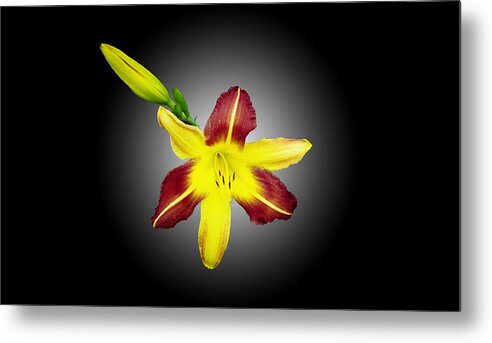 Lily And Bud Metal Print featuring the photograph Lily and Bud by Mike Breau