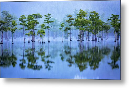 Abstract Metal Print featuring the photograph Line of Cypresses in Fog Panorama by Alex Mironyuk