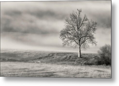 Landscape Metal Print featuring the photograph Lone Tree at the Ojai Summit by John A Rodriguez