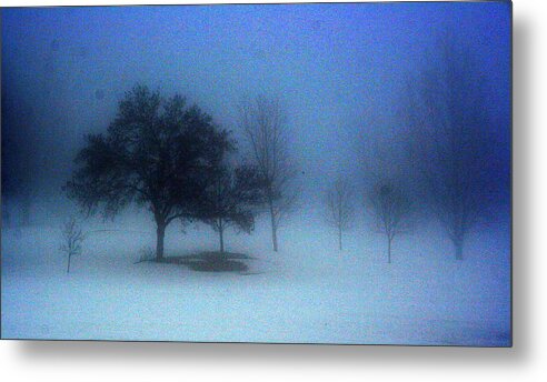 Landscape Metal Print featuring the photograph Love me in the mist by Julie Lueders 