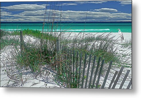 Nature Metal Print featuring the photograph Morning on the Beach by Phil Jensen