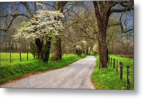 2016 Metal Print featuring the photograph Morning Twilight on Sparks Lane by Kenneth Everett