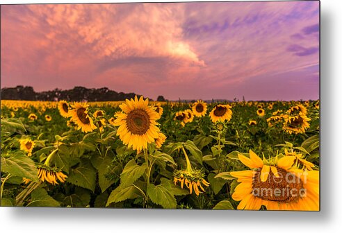 Clouds Metal Print featuring the photograph Morning View by Andrew Slater