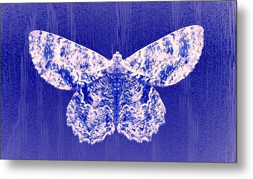 Landscape Metal Print featuring the photograph Moth MAN by Morgan Carter