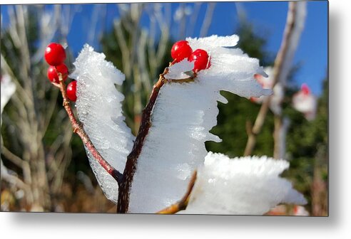 Frost Formations Metal Print featuring the photograph Mount Mitchell Frost 07 by William Slider