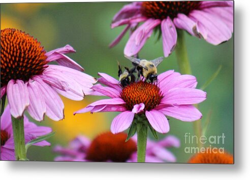 Pink Metal Print featuring the photograph Nature's Beauty 65 by Deena Withycombe