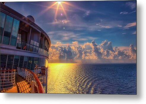 Photograph Metal Print featuring the photograph Natures Beauty at Sea by Reynaldo Williams