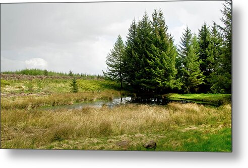 Woods Metal Print featuring the photograph On the Woodland edge by Elena Perelman