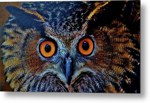 Owl Metal Print featuring the photograph Orange Owl Eyes by Cynthia Guinn