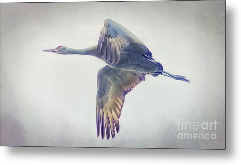 Flying Metal Print featuring the painting Painted Sandhill Crane by Janice Pariza