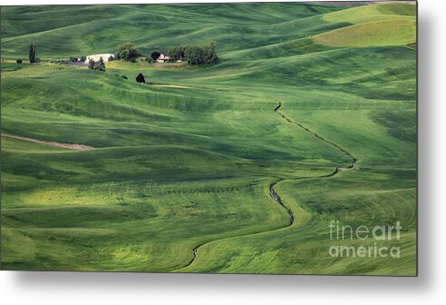 Aerial Metal Print featuring the photograph Palouse Green Fields by Jerry Fornarotto