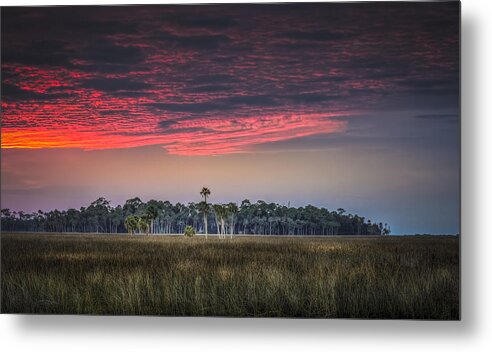 Peaceful Palms Metal Print featuring the photograph Peaceful Palms by Marvin Spates