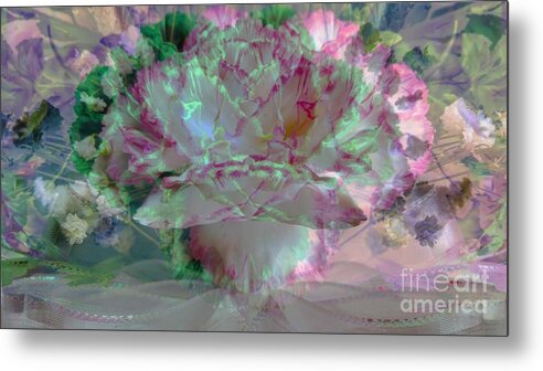 Pink Metal Print featuring the photograph Pink Carnation by Geraldine DeBoer