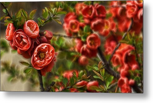 Fractals Metal Print featuring the photograph Pretty in Red by Cameron Wood