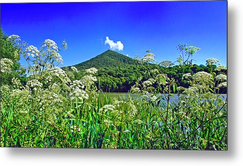 Peaks Of Otter Metal Print featuring the photograph Queen Anne's Lace, Peaks of Otter by The James Roney Collection