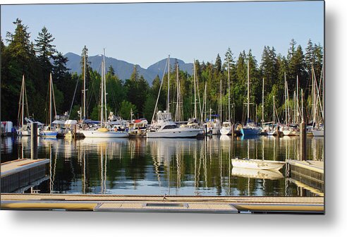 Sailing Metal Print featuring the photograph Quiet Cove by Cameron Wood