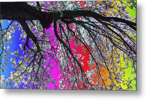 Spiritual Metal Print featuring the painting Reaching the rainbow by Christine Paris