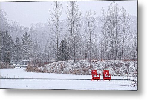 Snow Metal Print featuring the photograph Red in Snow by Charline Xia