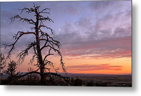 Billings Montana Metal Print featuring the photograph Rimrock Sunrise by Jack Bell