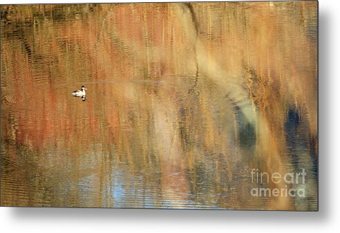 Duck Metal Print featuring the photograph Ripple Effect I by Michelle Twohig