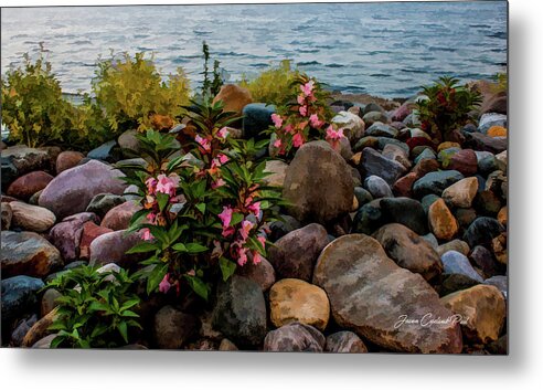 Rocky Shores Metal Print featuring the photograph Rocky Shores of Lake St. Clair- Michigan by Joann Copeland-Paul