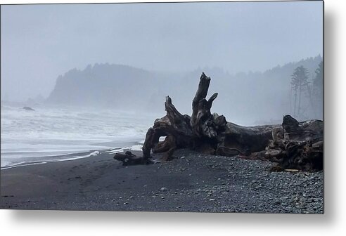 Rialto Beach Metal Print featuring the photograph Roots Touch Pacific by Alexis King-Glandon