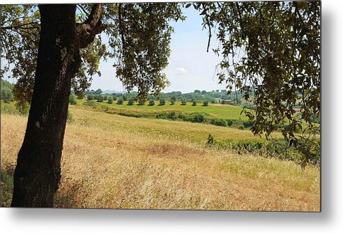 Tuscan Metal Print featuring the photograph Rural Tuscany by Valentino Visentini