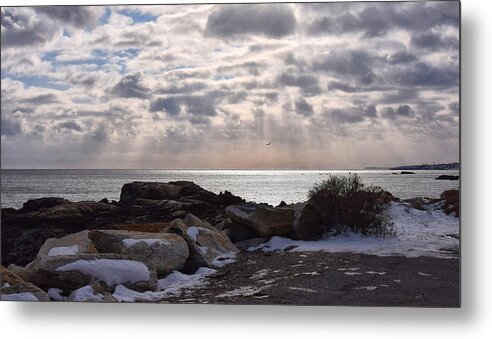 New Hampshire Metal Print featuring the photograph Rye In Winter by Tricia Marchlik
