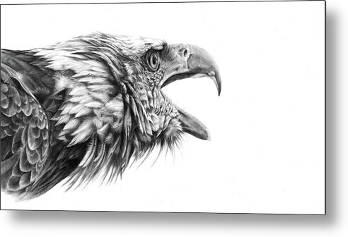 Eagle Metal Print featuring the drawing Screaming Eagle by Peter Williams