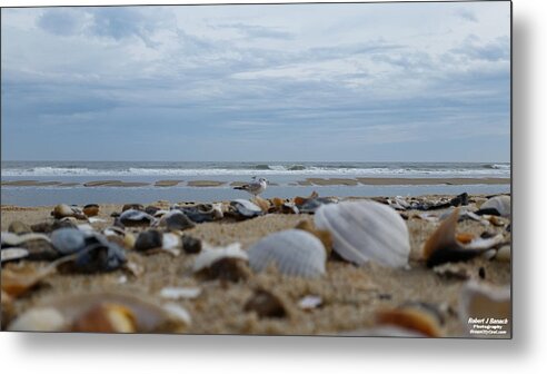 Seashells Metal Print featuring the photograph Seashells Seagull Seashore by Robert Banach