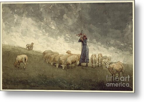 Shepherdess Tending Sheep -_winslow_homer Metal Print featuring the painting Shepherdess Tending Sheep by MotionAge Designs