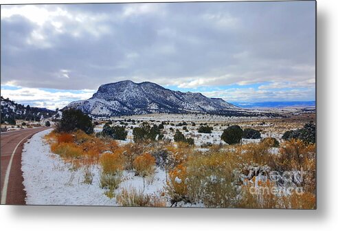 Southwest Landscape Metal Print featuring the photograph Side of the road by Robert WK Clark