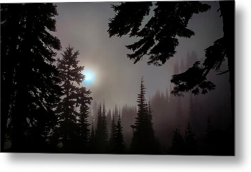 Silhouette Metal Print featuring the photograph Silhouettes in the Mist 2008 by Greg Reed