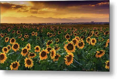 Colorado Metal Print featuring the photograph Skyfall by John De Bord