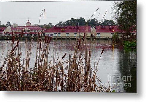  Photo Metal Print featuring the photograph South Carolina Cattails by Karen Francis