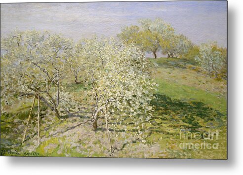 Spring Metal Print featuring the painting Spring, Fruit Trees in Bloom, 1873 by Claude Monet