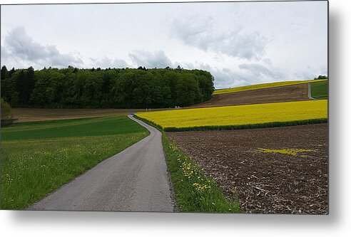 Landscape Metal Print featuring the photograph Spring lines by Felicia Tica
