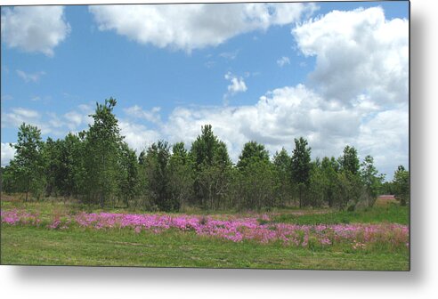 Landscape Metal Print featuring the photograph Spring phlox by Peggy Urban