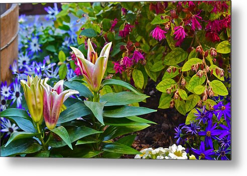 Flowers Metal Print featuring the photograph Spring Show 15 Lilies by Janis Senungetuk
