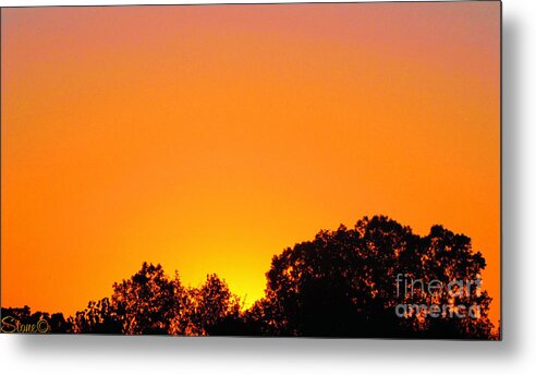  Sunrises Metal Print featuring the photograph Star Burst by September Stone