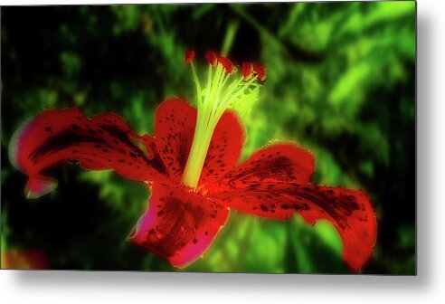 Stargazer Lily Metal Print featuring the photograph Stargazer Lily by Mike Breau