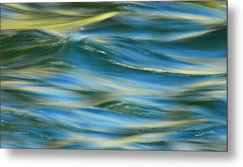 Water Metal Print featuring the photograph Sunlight Over The River by Donna Blackhall