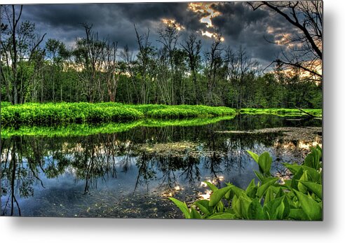 Sunset Metal Print featuring the photograph Swampscape by David Henningsen