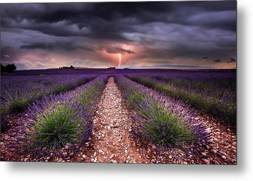 Landscape Metal Print featuring the photograph Tesla fields by Jorge Maia