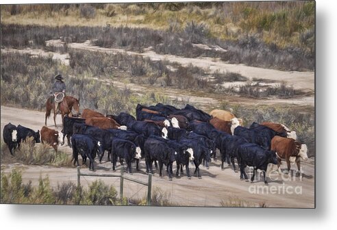 Cattle Metal Print featuring the photograph The Cattle Drive by Janice Pariza