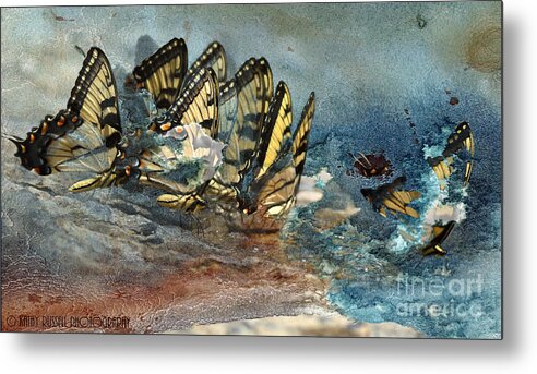 Butterflies Metal Print featuring the photograph The Gathering by Kathy Russell